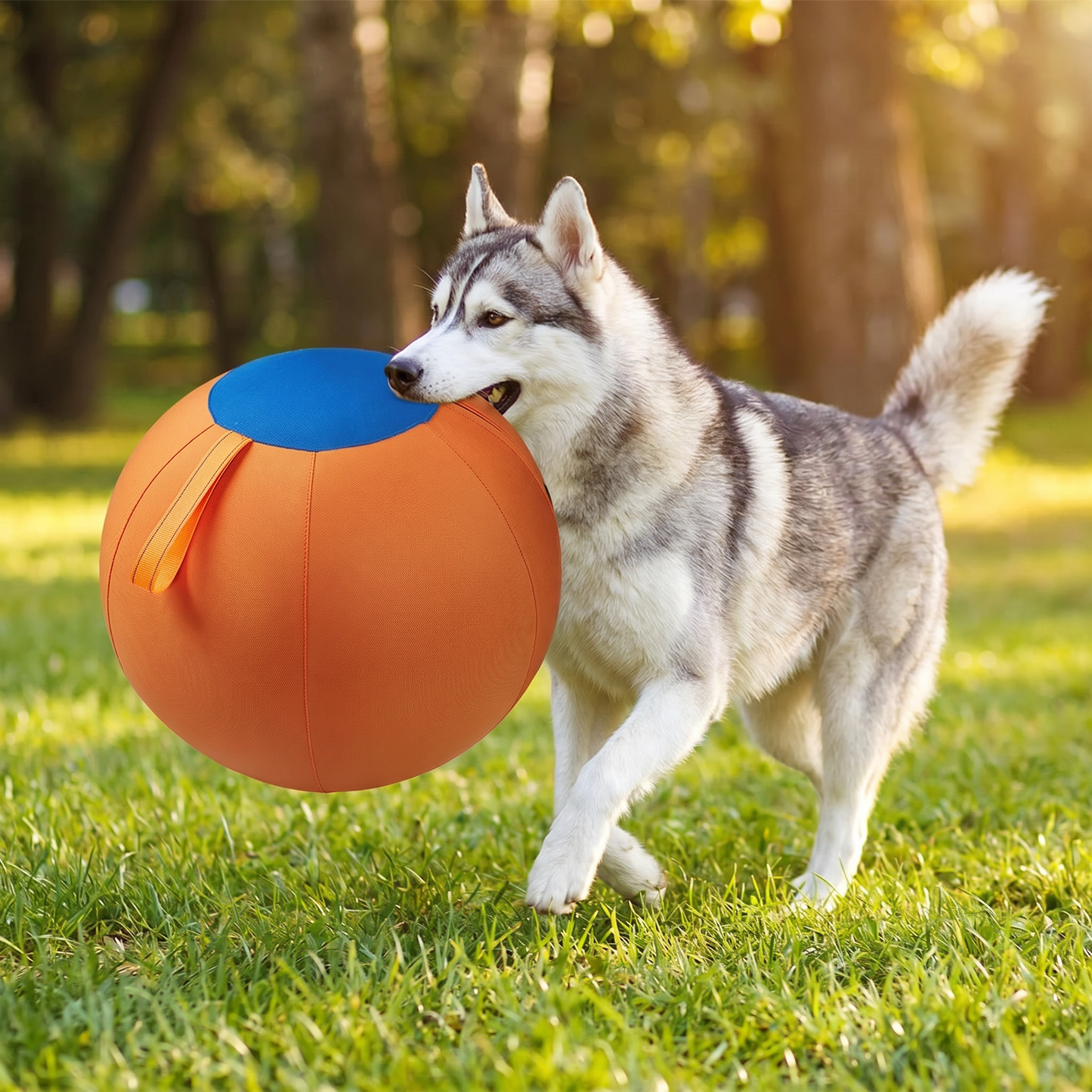 Slitstark Träningsboll med Överdrag för Hundar