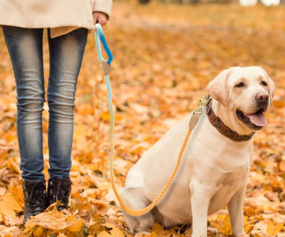 Färgad hundkoppel av bomullsrep – robust spiralformat hundkoppel med karbinhake