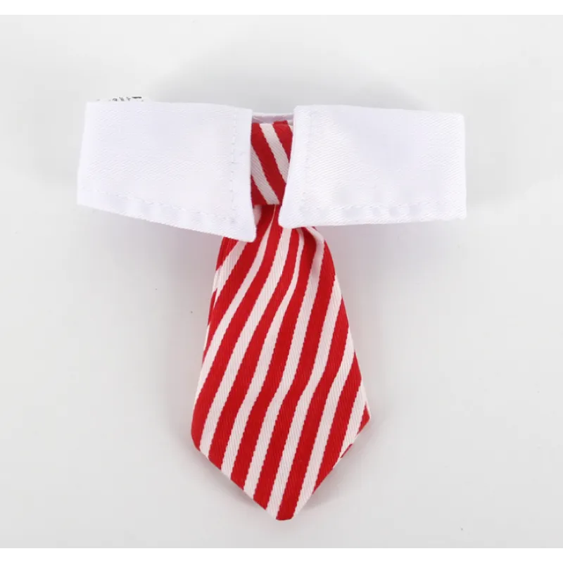 Elegant halsband med slips för hundar och katter