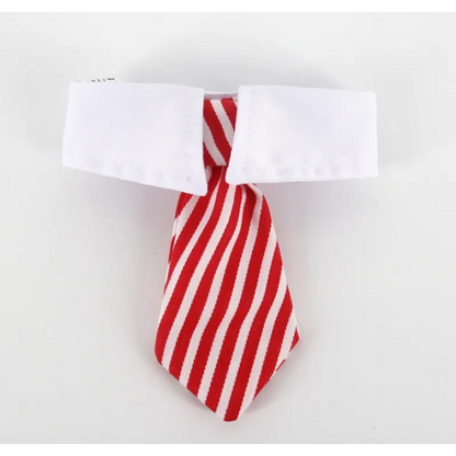 Elegant halsband med slips för hundar och katter