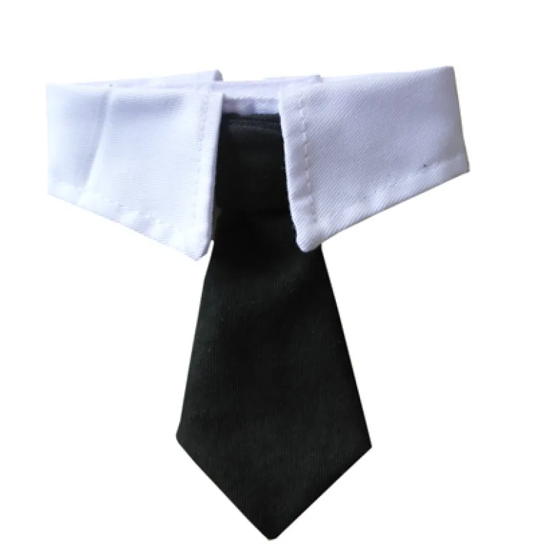 Elegant halsband med slips för hundar och katter