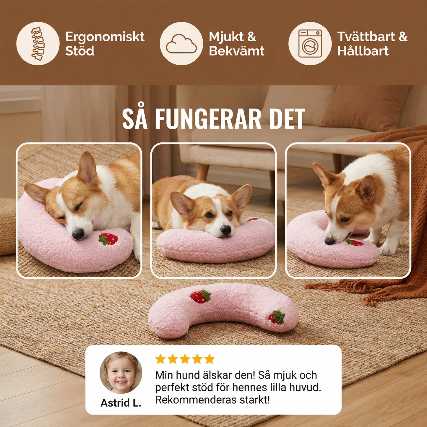 Robust Hundboll med Handtag