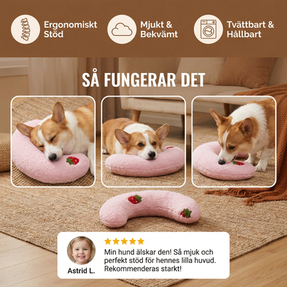 Robust Hundboll med Handtag
