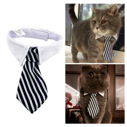 Elegant halsband med slips för hundar och katter