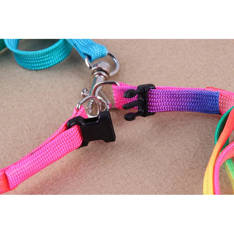 Färgat hundsele med koppel – Justerbar set för hundar i regnbågens färger
