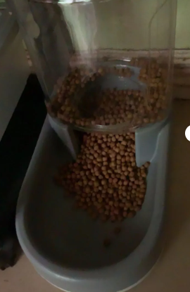 Automatisk Mat- och Vattendispenser för Hundar och Katter – 3,8 L Kapacitet