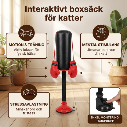 Interaktivt boxsäck för katter