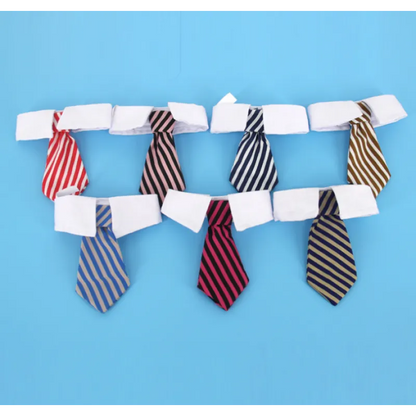 Elegant halsband med slips för hundar och katter