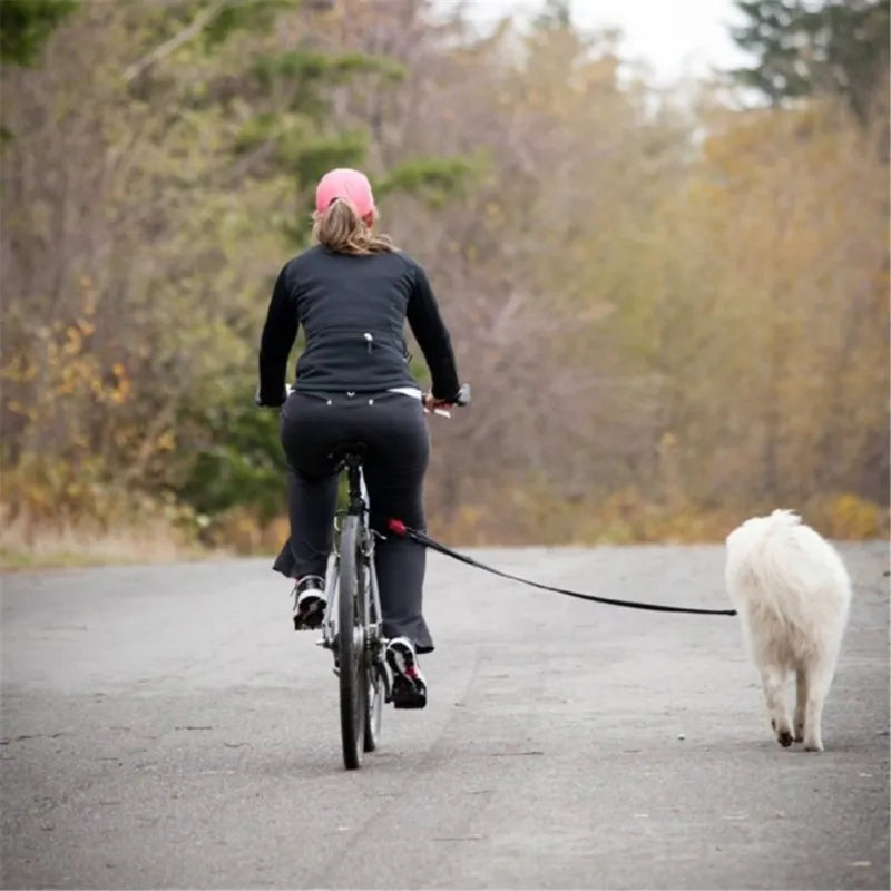Cykelhundkoppel med fjädring för säker cykling och hundpromenader