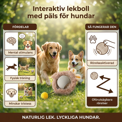 Interaktiv lekboll med päls för hundar