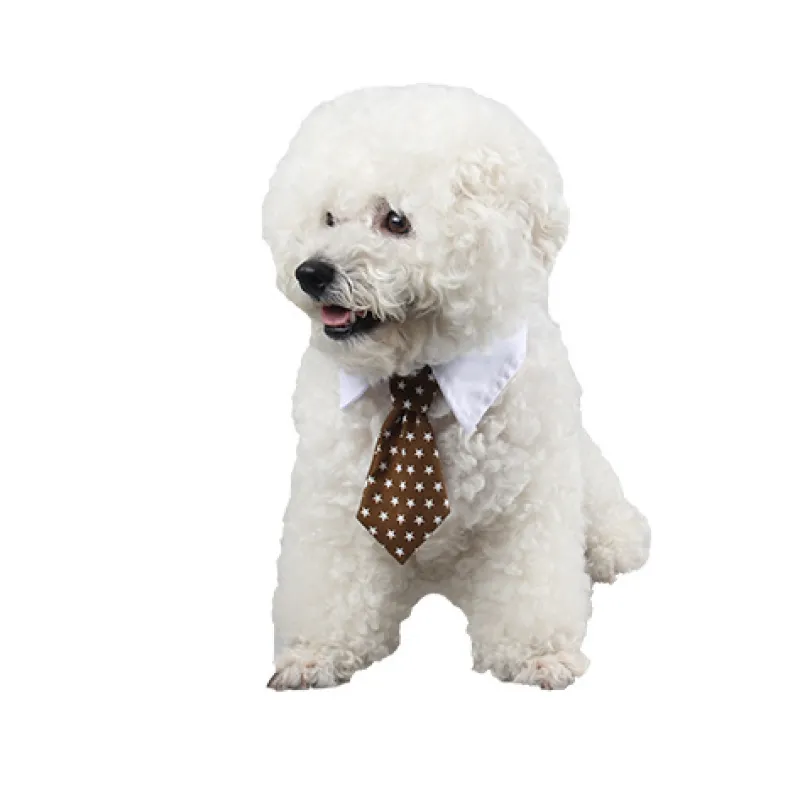 Elegant halsband med slips för hundar och katter