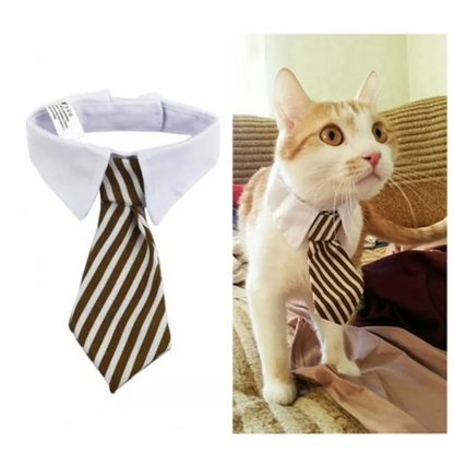 Elegant halsband med slips för hundar och katter