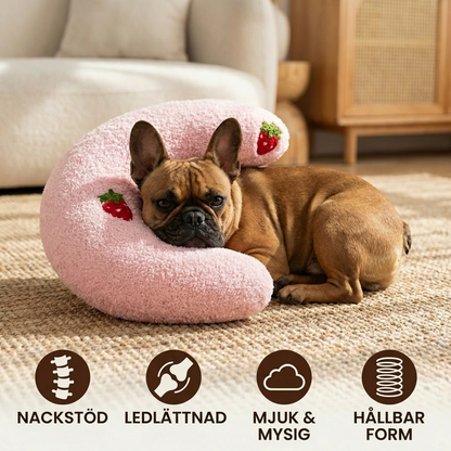 Robust Hundboll med Handtag