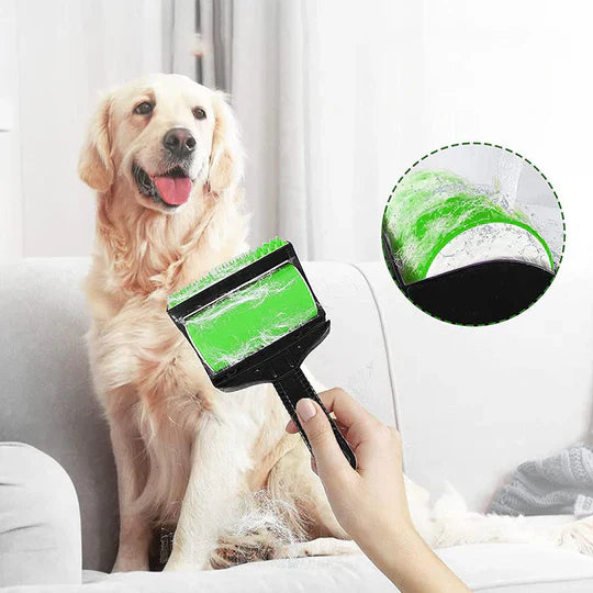 Återanvändbar Husdjurshårborttagare