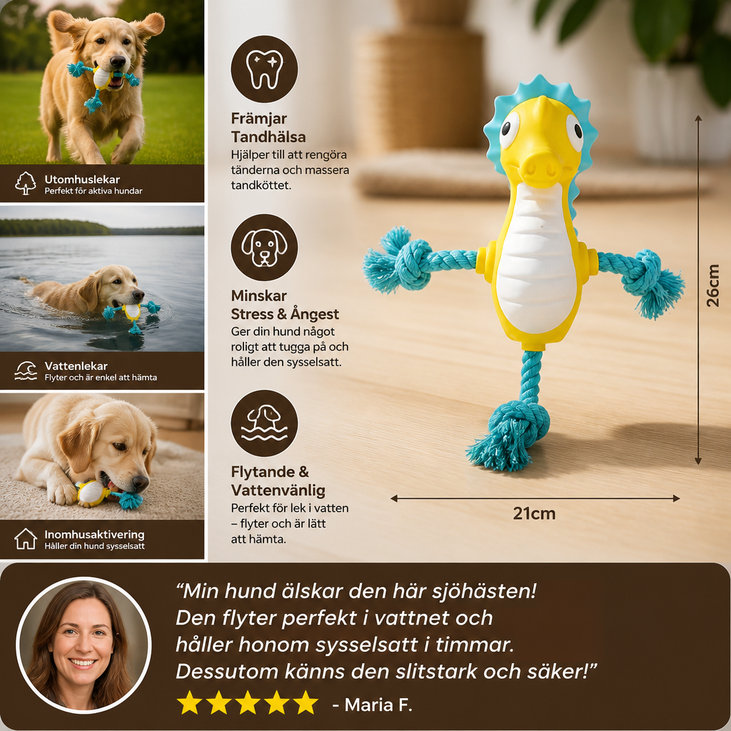 Slitstark Flytande Hundleksak I Dental-Latex Med Rep