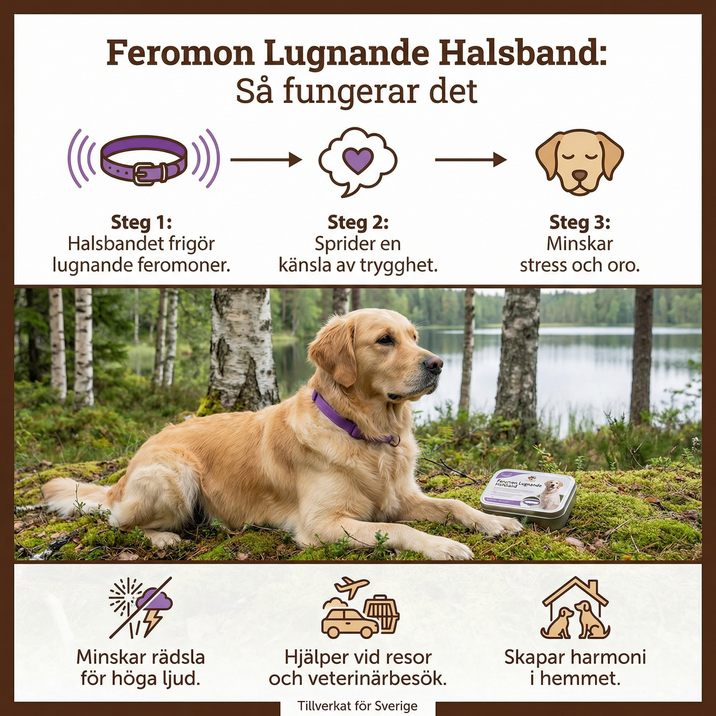 Feromon Lugnande Halsband