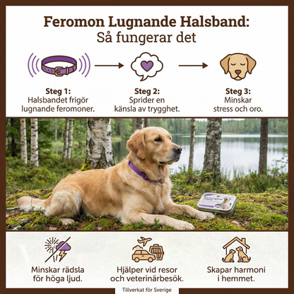 Feromon Lugnande Halsband