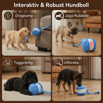 Interaktiv & Robust Hundboll – Rörelseleksak med Dragsnöre i Hundfärger