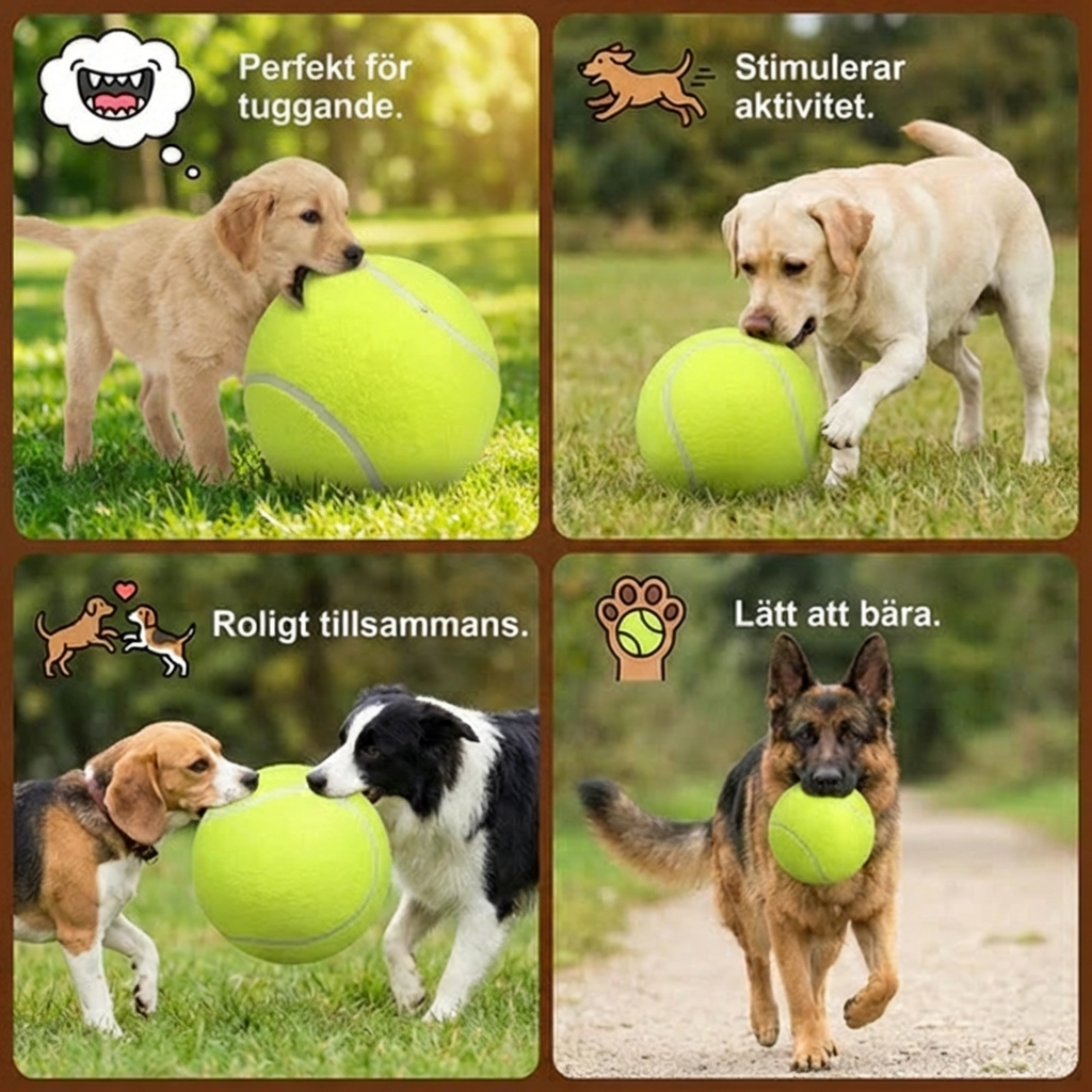Robust jättestor tennisboll för hundar