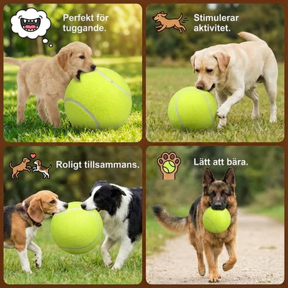 Robust jättestor tennisboll för hundar
