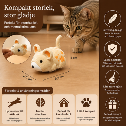 Aktiv hamsterleksak för katter inomhus