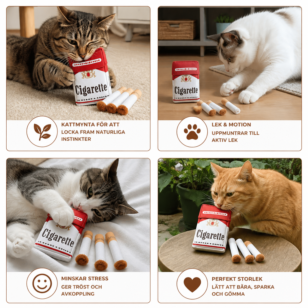 Kattmynta-Leksaksset i Form av Ett Cigarettpaket för Interaktiv Kattlek