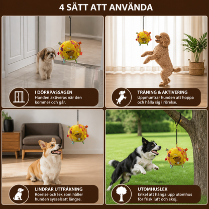 Interaktiv Hängande Hundboll Med Elastiskt Leksnöre Och Krok