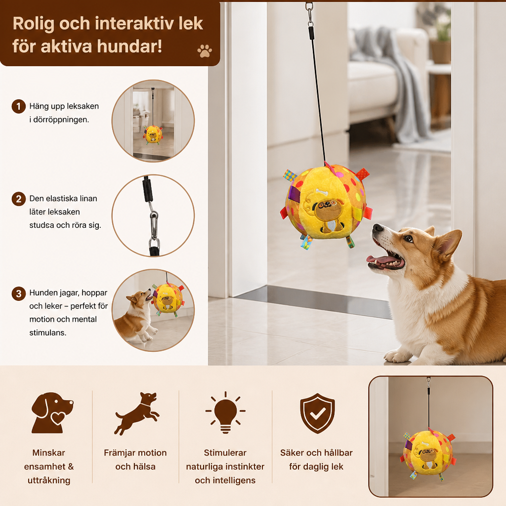 Interaktiv Hängande Hundboll Med Elastiskt Leksnöre Och Krok