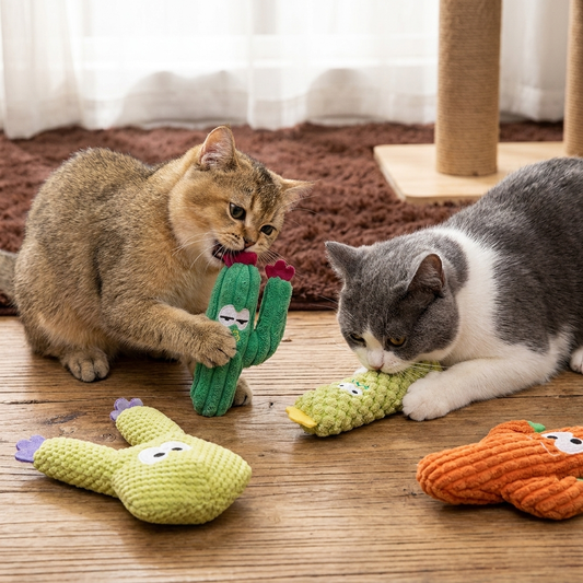 Kattmynta-Fylld Kaktus Tandvårdsleksak För Katter