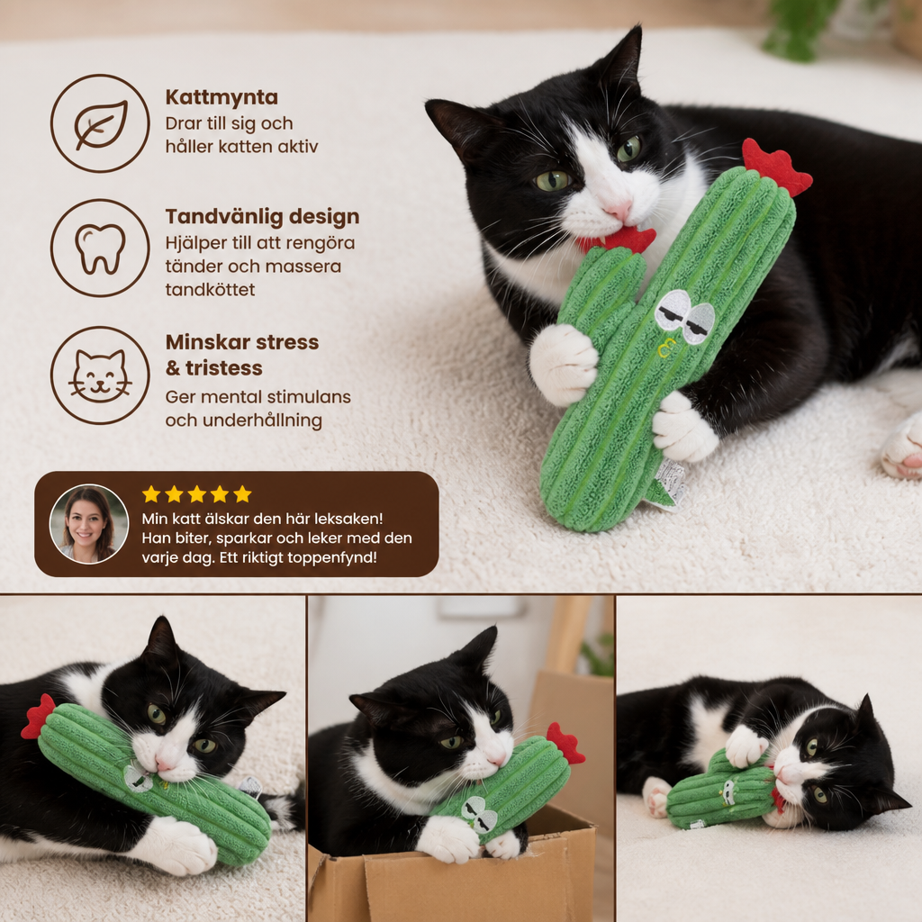 Kattmynta-Fylld Kaktus Tandvårdsleksak För Katter