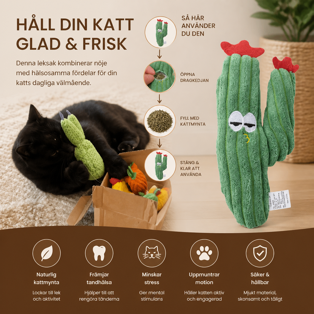 Kattmynta-Fylld Kaktus Tandvårdsleksak För Katter