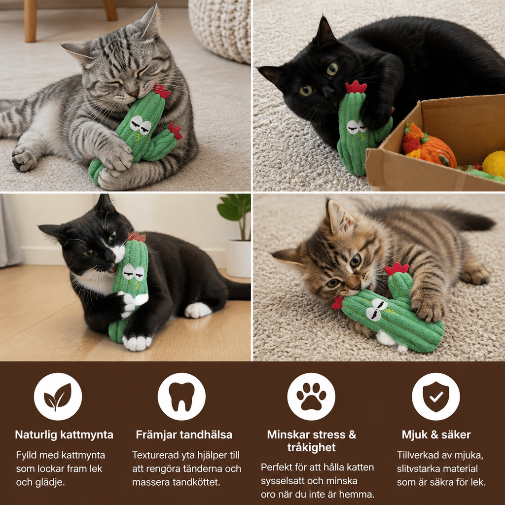 Kattmynta-Fylld Kaktus Tandvårdsleksak För Katter