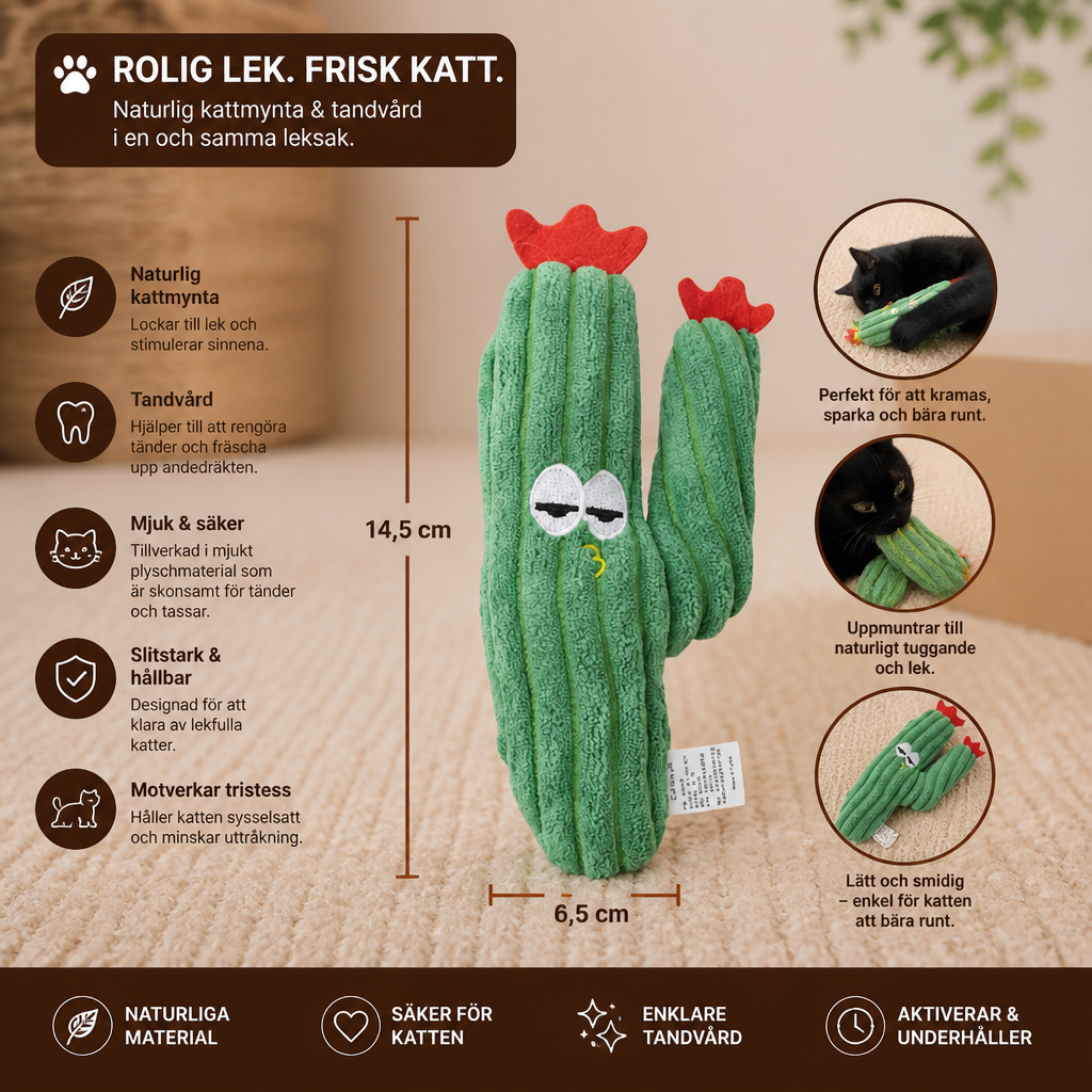 Kattmynta-Fylld Kaktus Tandvårdsleksak För Katter
