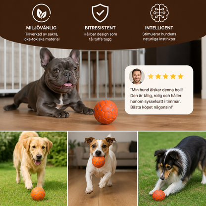 Miljövänlig, Bitresistent, Intelligent, Interaktiv, Automatisk Hundboll