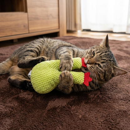 Kattmynta-Fylld Kaktus Tandvårdsleksak För Katter