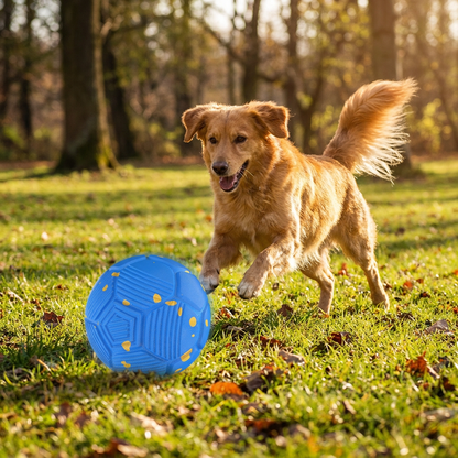 Miljövänlig, Bitresistent, Intelligent, Interaktiv, Automatisk Hundboll
