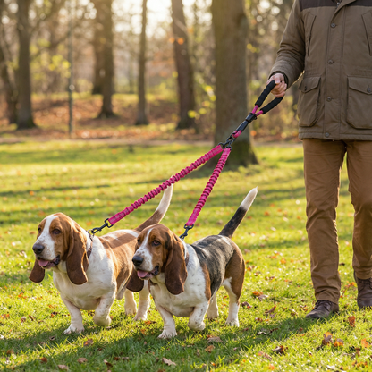 Enkel Anti-Trassel Dubbel Hundkoppel