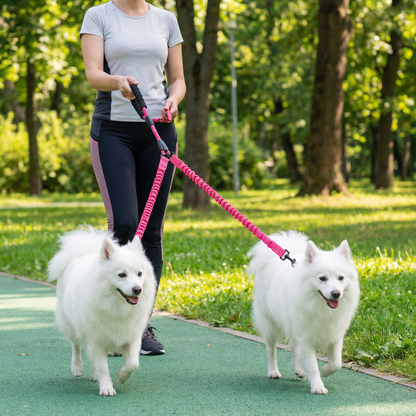 Enkel Anti-Trassel Dubbel Hundkoppel