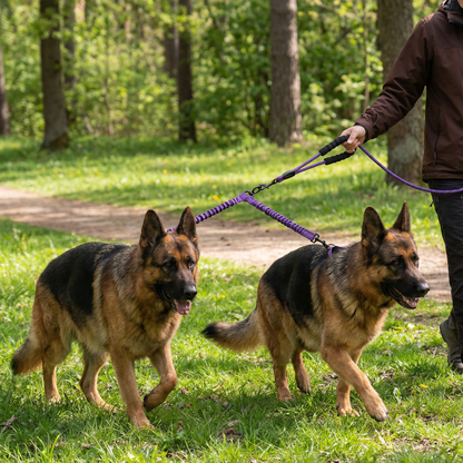 Enkel Anti-Trassel Dubbel Hundkoppel