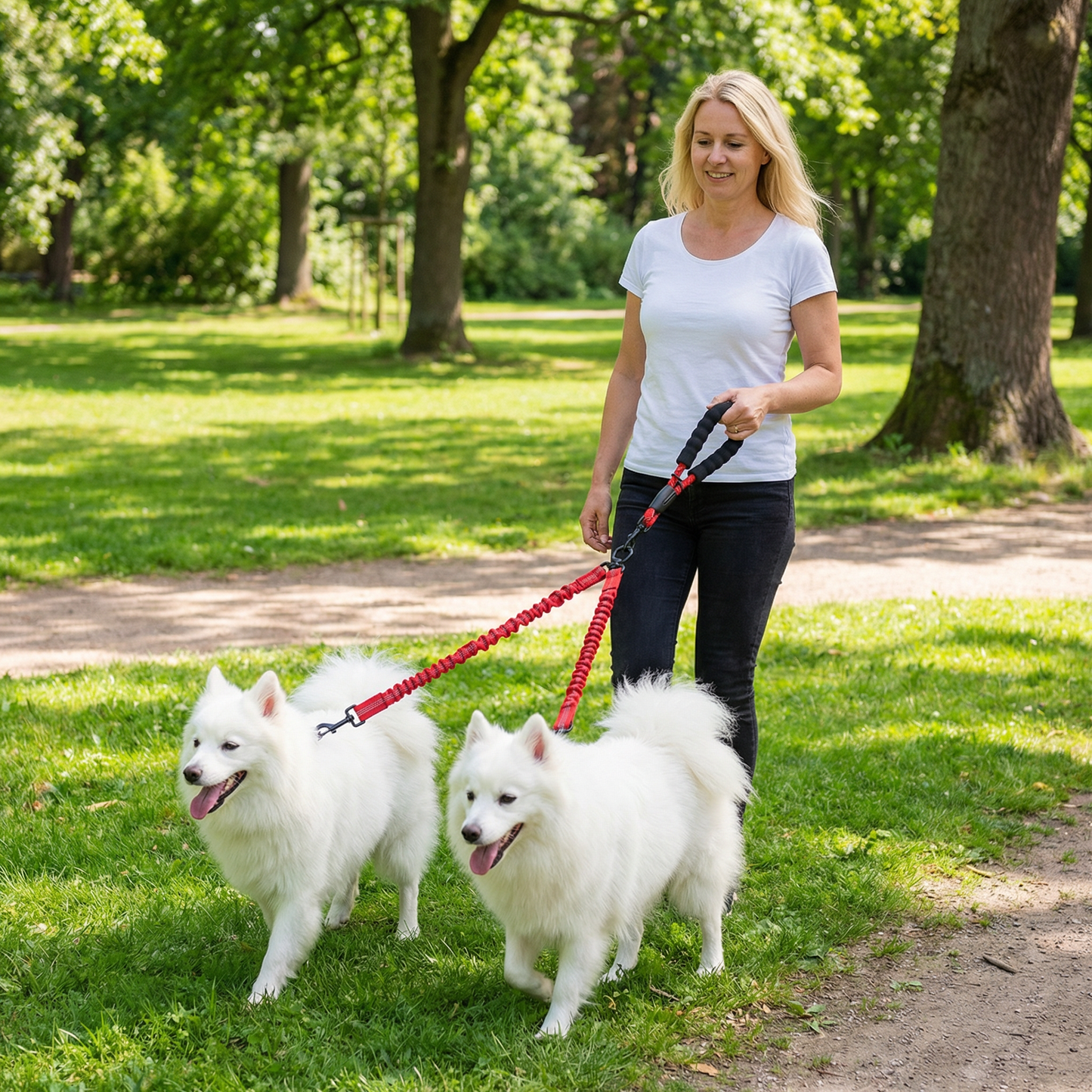 Enkel Anti-Trassel Dubbel Hundkoppel