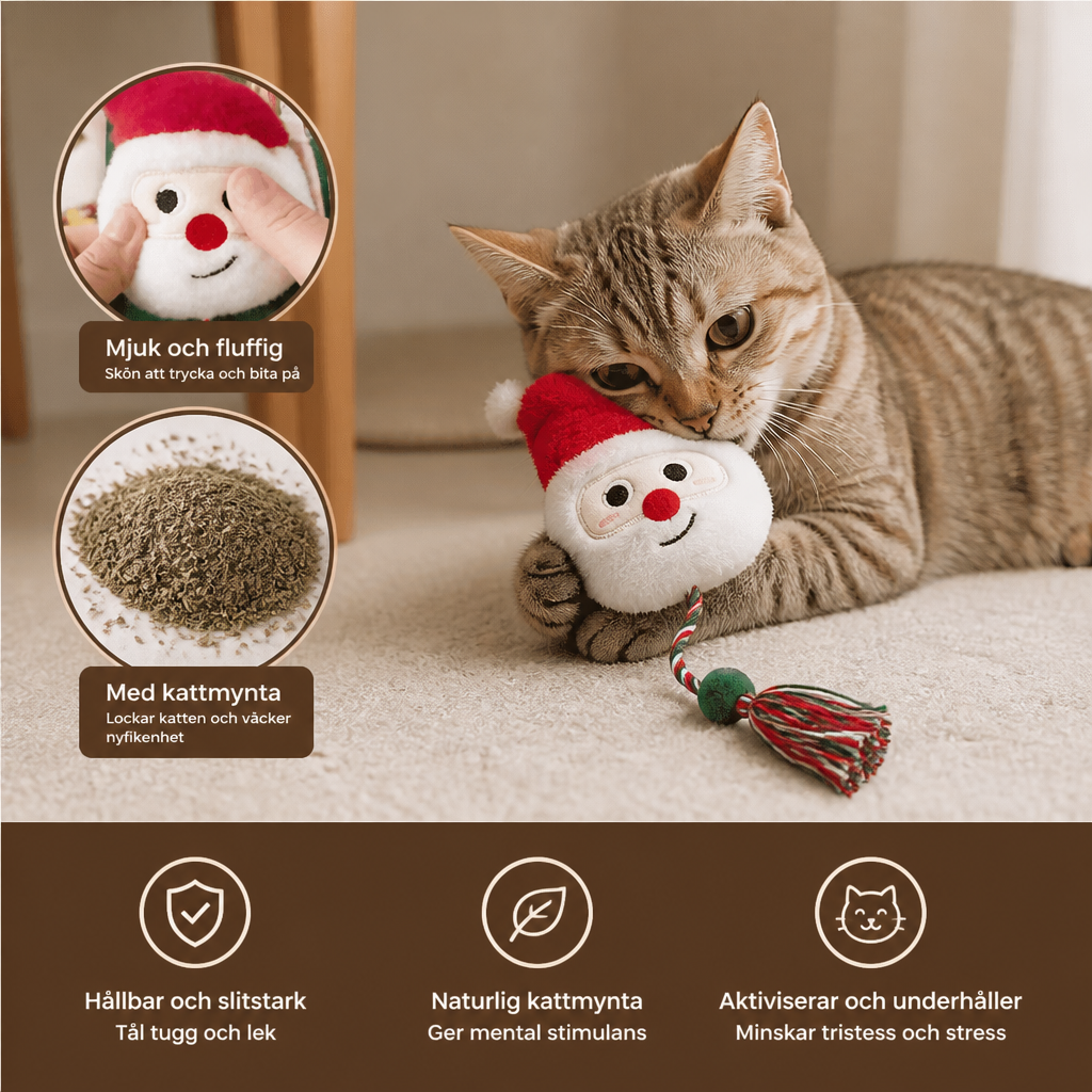 Julrepstavla Med Kattmynta För Katter