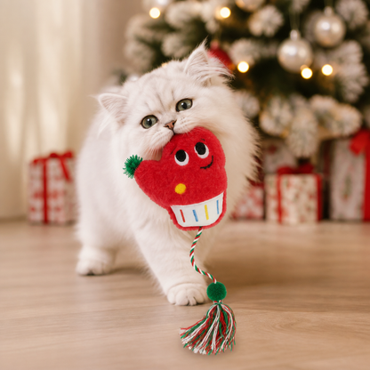 Julrepstavla Med Kattmynta För Katter
