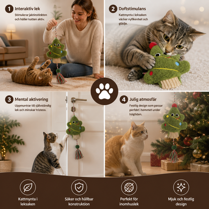 Julrepstavla Med Kattmynta För Katter