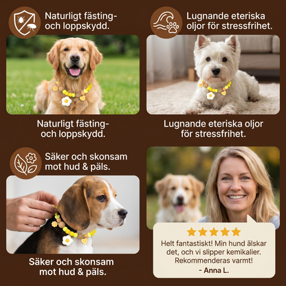 Söt halsband med insektsavvisande medel för hundar