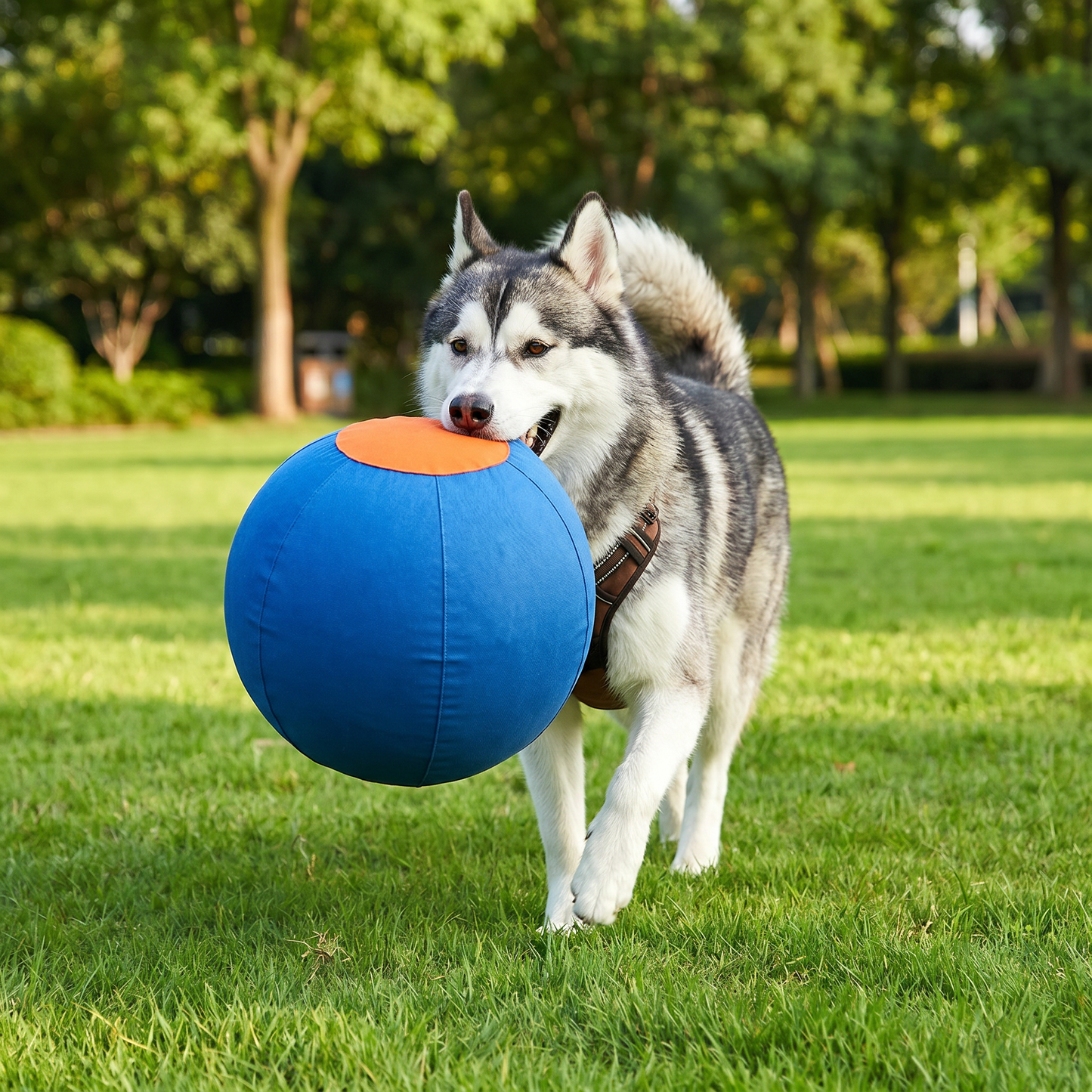 Slitstark Träningsboll med Överdrag för Hundar