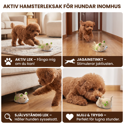 Aktiv hamsterleksak för hundar inomhus