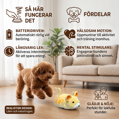 Aktiv hamsterleksak för hundar inomhus