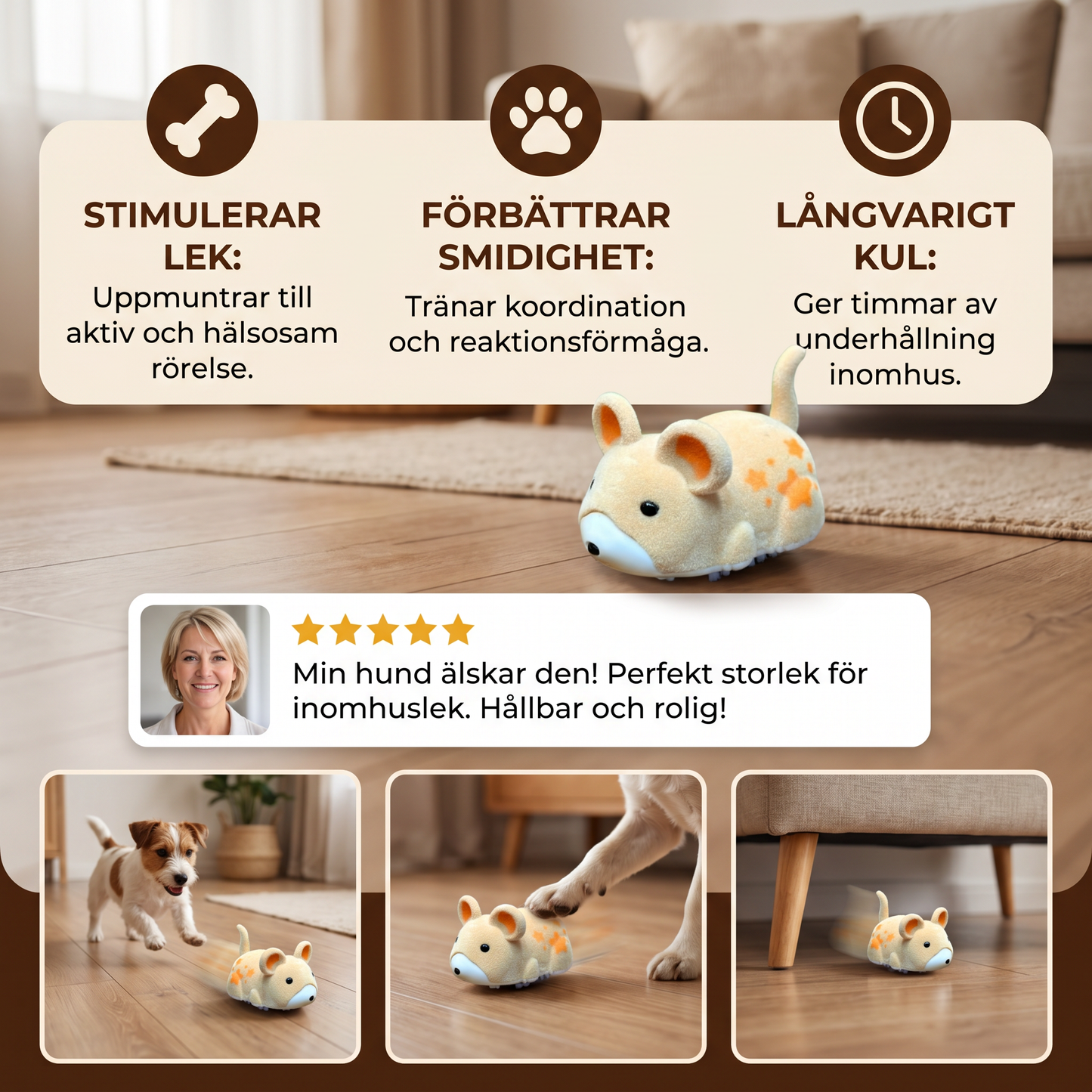 Aktiv hamsterleksak för hundar inomhus