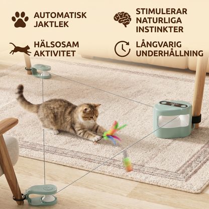 Automatisk Kattbana för Jaktlek