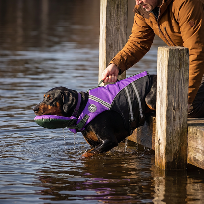 Säker Flytväst För Hund Med Räddningshandtag